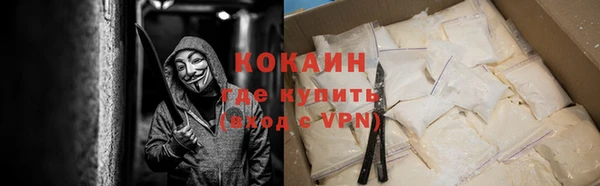индика Осинники